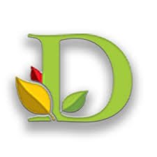 شركه لاب ديمنشن